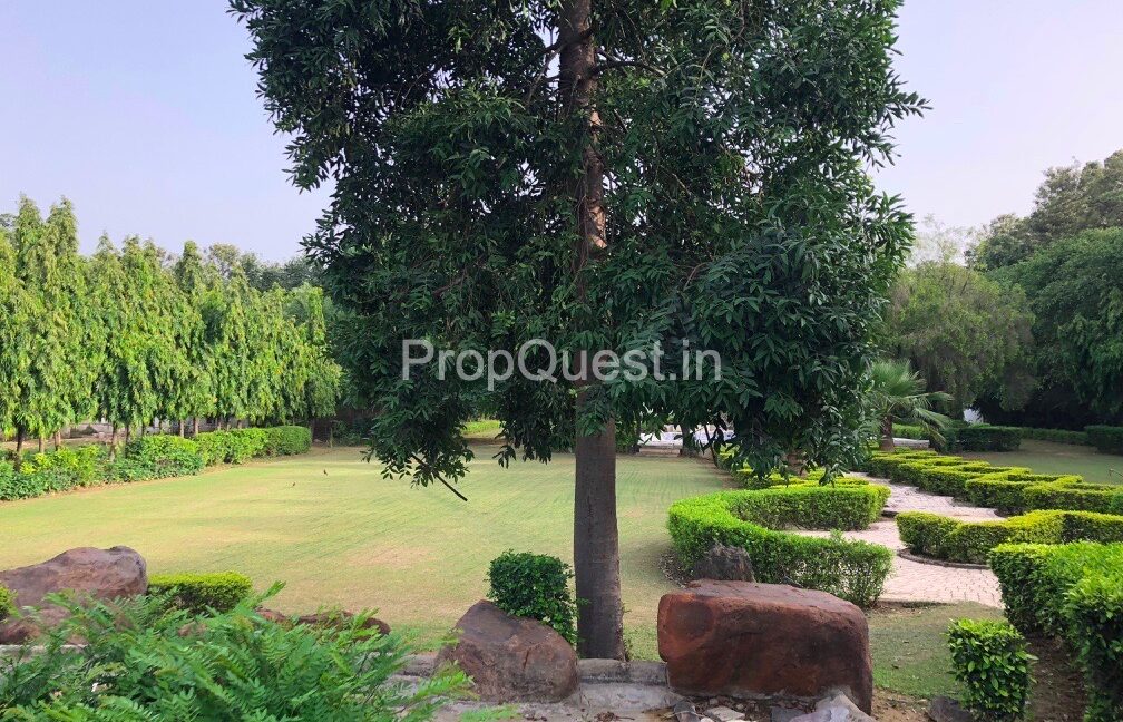 6-BHK-Farm-House-For-Sale-Gulmohar-Avenue-West-End-Greens-Rangpuri-Farms-New-Delhi